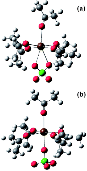 Optimized structures of the bidentate (a) and of the monodentate (b) structure of the (acetone)5 (ClO4−) Sr2+ cluster calculated at the HF/3-21G* level.