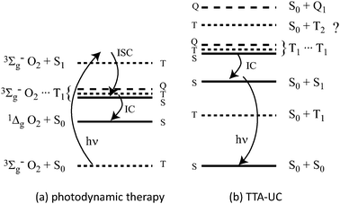 The energy level structures involved in (a) photodynamic therapy and (b) TTA-UC. In the former, when only the singlet encounter complex can undergo internal conversion, singlet oxygen is produced in high yield. In TTA-UC, only the singlet encounter complex can decay unless the T2 state is lower than the sum of two T1 states.