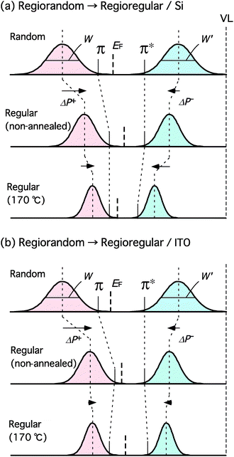 Schematics for the development of electronic structures of P3HT films. Development of the electronic structure from regiorandom P3HT film to annealed regioregular P3HT film on Si substrate via non-annealed regioregular P3HT film (a) and from regiorandom P3HT film to annealed regioregular P3HT film on ITO substrate via non-annealed regioregular P3HT film (b). W and W′ are the width of the π and π* bands, respectively. ΔP+ and ΔP− are the changes in polarization energy after annealing for holes (positive polarons) and electrons (negative polarons) in the polymer chain, respectively.