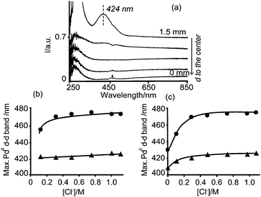 (a) Space resolved UV-Vis spectra measured on a γ-Al2O3 pellet, from the edge to the center, 5 min after impregnation with any of the prepared PdII impregnation solutions; (b) and (c) show the position of the PdII d–d transition band as a function of the Cl− (aq) concentration in the impregnation solutions (–●–) and measured in the edge of the impregnated pellets 5 min after impregnation (–▲–), from Series A (b) and Series B (c).