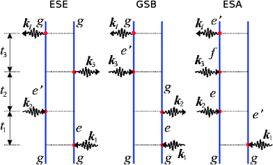 The Feynman diagram representation of the three Liouville-space pathways contributing to the kI response function. The three distinct pathways are denoted as Ground State Bleaching (GSB), Excited State Emission (ESE) and Excited State Absorption (ESA).