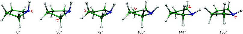 The envelope structures of pyrrolidine and the corresponding pseudorotational angles ϕ. In all these structures four atoms of the ring are in one plane, while the fifth one (indicated by a red arrow) is not. This pucker rotates around the ring during pseudorotation.