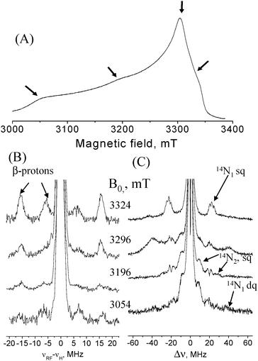(A) Field-sweep echo-detected EPR spectrum of AO. Arrows mark the fields where ED-NMR and ENDOR spectra were measured. (B) Davies ENDOR spectra recorded at various fields with tinv = 200 ns, trf = 25 μs, t90/t180 = 100/200 ns; (C) ED-NMR spectra recorded at the same fields as (B) with tHTA = 10 μs, tdet = 3 μs. Measurement temperature was 12 K.