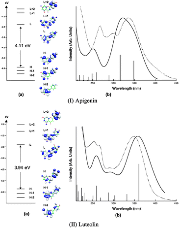 (a) Apigenin (top) and luteolin (bottom) frontier molecular orbitals energies and isodensity plots. (b) Comparison between the experimental (from ref. 8, dotted line) and the computed (solid line) absorption spectra of apigenin and luteolin.