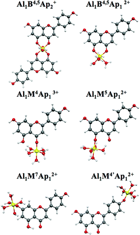 Optimized geometries of Al–Ap complexes