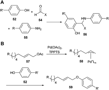 (A) Three component Mannich-type tyrosine conjugation; (B) palladium-assisted tyrosine conjugation.