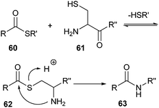 Mechanism of the native chemical ligation.