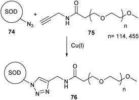 PEGylation of the SOD protein using CuAAc.