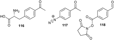 Structures of a ketone-containing amino acid and ketone-bearing tags.