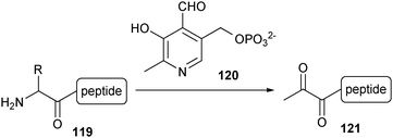 Introduction of a ketone moiety to the N-terminus using PLP.