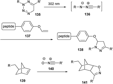 Examples of copper-free click reactions based on 1,3-dipolar cycloadditions with nitrile imines and nitrile oxides.