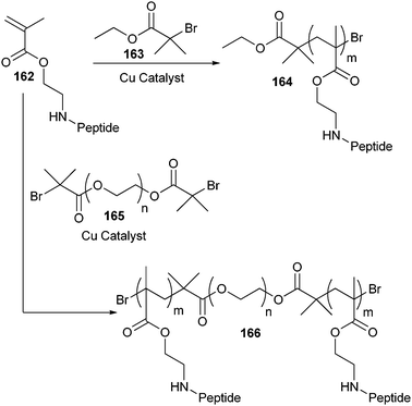 ATRP of peptide-functionalized monomers.