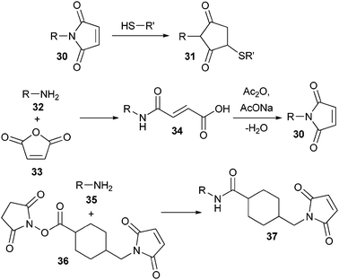 Use and synthesis of maleimide-functionalized polymers.