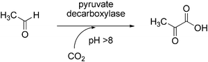 Carboxylation of acetaldehyde by pyruvate decarboxylase.