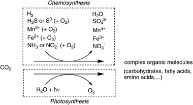 Principles of biological CO2-fixation.