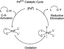 C–H Activation through Pd(ii)/Pd(iv) mechanism.