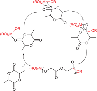 Coordination–insertion mechanism of lactide polymerization using metal-alkoxide catalysts.