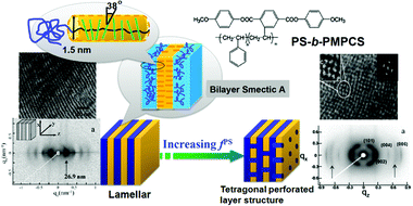 Hierarchical, self-assembled supramolecular structures of PS-b-PMPCS. For the symmetric BCP with a low MW, a lamellar microphase structure is formed, as shown in the TEM micrograph and the 2D SAXS pattern. The PMPCS columns are aligned parallel to the lamellar normal. The packing of the rod–coil BCP resembles a “bilayer smectic A” molecular structure. When the fPS is increased to obtain the asymmetric BCP, a tetragonal perforated layer structure is formed, in which coils (PS) punctuate the liquid crystalline layers, and the PS domains in the liquid crystalline layer are packed in a tetragonal instead of hexagonal lattice shown by the TEM and 2D SAXS results. Reprinted and adapted with permission of the American Chemical Society.195,196