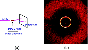 Identification of the phase structure of PMPCS. (a) Geometry of experimental setup in the 2D WAXD experiment. The X-ray incident beam is parallel to the fiber axis. (b) 2D WAXD fiber pattern of the fiber sample. The azimuthal scanning data of the low-angle diffraction of the sample shows a six-fold symmetry. The sample forms a ΦHN phase. Reprinted with permission of the American Chemical Society.111