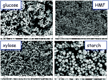 Scanning electron micrographs of various hydrothermal carbons obtained from different carbohydrate sources (scale bar 2 μm) (reproduced from ref. 11 with the permission of The Royal Society of Chemistry).