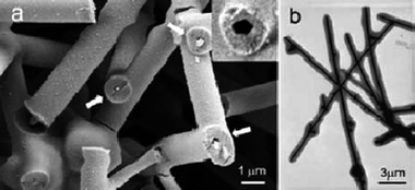 (a) Typical SEM image of the nanoscale with encapsulated, silver nanowires. The insert shows an incompletely drilled tube with a pentagonal cross-section. (b) TEM image of typical silver–carbon nanocables formed after treating at 160 °C for 12 h: 5 g starch, 5 mmol AgNO3, pH 4 (reproduced from ref. 18 with the permission of Wiley-VCH).