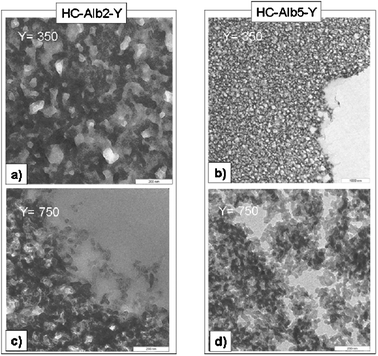 TEM images for higher temperature samples HC-AlbX-Y, X = 2.5. Y (= 350, 750) indicates the calcination temperature. Scale bar is 200 nm.