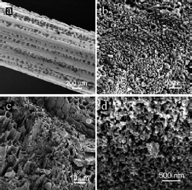 HRSEM of pine needles (a) before and (b) after being hydrothermally carbonized at 200 °C for 12 h; (c) low-magnification SEM overview of an HTC-treated oak leaf; (d) high-magnification picture of the same HTC-treated oak leaf indicating its nanostructure. (Reproduced from ref. 29 with the permission of the American Chemical Society).