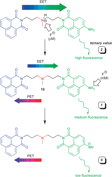 Ternary molecular logic with a naphthalimide-based dyad.