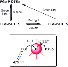Photochromic processes for the keypad lock based on the FG–P–DTE triad.