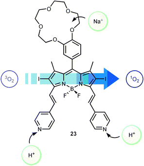 Singlet oxygen generating molecular AND gate based on the BODIPY derivative 23.