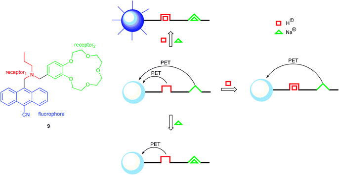 First molecular logic gate (9), mimicking an AND operation, and its photomechanistic working principle.