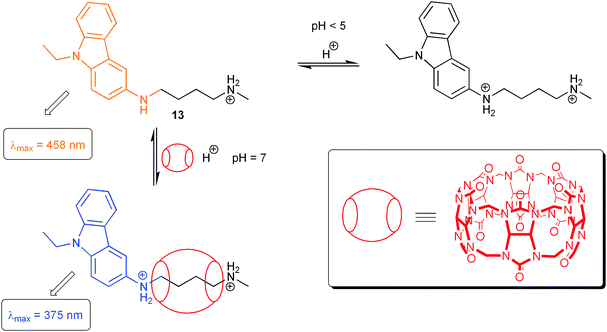 Fluorescence switching through host-assisted guest protonation.