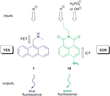 Reversible molecular logic with an anthracene PET switch and an ICT-based 4-aminonaphthalimide.