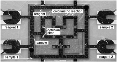 Electrowetting platform (EWOD). Implementation of a colorimetric glucose assay in a single chip. Four reservoirs with injection elements are connected to an electrode circuitry, where the droplets are mixed, split and transported to detection sites for readout (adapted from Srinivasan et al.262).