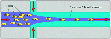 Contacting on the laminar flow platform. Three different liquid streams are symmetrically contacted at an intersection point. This microfluidic structure is also referred to as a “flow focusing structure”.93