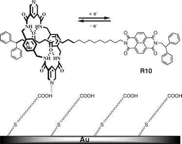 Redox-switched [2]rotaxane R10 monolayer attached on a gold surface.