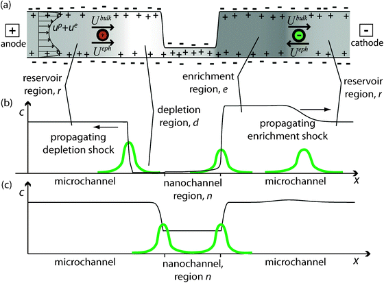 Schematic of channels with (a) non-overlapped electrical double layers