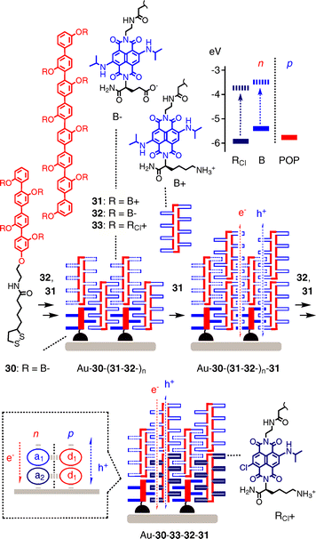 Zipper assembly of notional SHJ architectures.