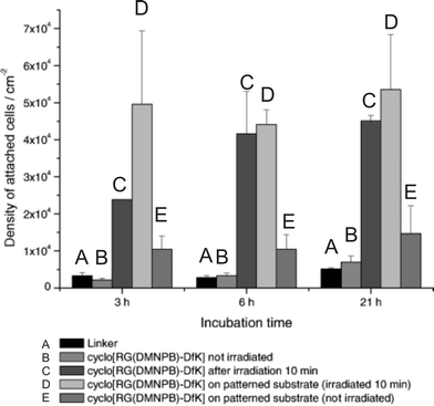 Density of fibroblast 3T3 cells on non-patterned and patterned substrates presenting c-[RGD(DMNPB)fK] prior to and after irradiation with UV light at λ = 351 nm for 10 min. The tetra oligo ethylene glycol linker is included for comparison. Reproduced from ref. 87. Copyright Wiley 2008.