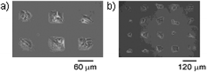 Phase contrast microscopy image of Swiss 3T3 fibroblast cells patterned on a SAM by photo-deprotection (UV light) and subsequent oxidation (+400 mV, 15 s) followed by Diels–Alder immobilization of a RGD–Cp ligand (5 mM, 4 h). The interaction between cell and substrate is specific so that regions that were not illuminated do not present RGD ligands. Reproduced from ref. 101. Copyright ACS 2004.