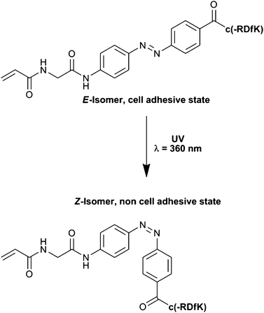 Cyclic RGD peptides presented on a photoswitchable 4-[(4-aminophenyl)azo]benzocarbonyl unit], where c-(RDfK) is a cyclic pentapeptide.91