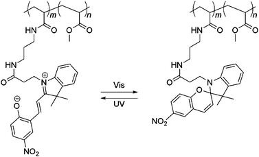 Transition of poly(NSP-co-MMA) to its non-cell adhesive zwitterionic state upon exposure to UV irradiation.112