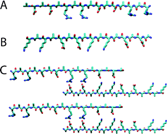 Examples of modulus II. Molecular models of the extended β-strand structures of individual molecules are shown for (A) ARARADADARARADAD (RAD16-II, R, arginine, A, alanine and D, aspartate) and (B) EAEAKAKAEAEAKAKA (EAK16-II, A, alanine, E, glutamate and K, lysine). The distance between the charged side chains along the backbone is approximately 6.8 Å; the methyl groups of Ala are found on one side of the sheet and the charged residues are on the other side. Conventional β-sheet hydrogen bond formation between the oxygens and hydrogens on the nitrogens of the peptide backbones are perpendicular to the page. (C) A proposed staggered assembly of molecular models for EAK16. The complementary ionic bonds and hydrophobic alanines are shown. Although an antiparallel β-sheet is illustrated, a parallel β-sheet model is also possible. Reproduced with permission from ref. 24.