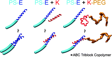 Schematic representation of the hierarchical self-assembly of the hybrids PS-E and K-PEG containing complementary peptide blocks. PS is polystyrene, PEG is poly(ethylene glycol), and E and K are peptides. Reprinted with permission from ref. 82. Copyright 2008 American Chemical Society.