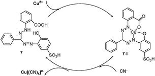 The speculated conversion cycle of zincon 7 in the presence of Cu2+ and cyanide.