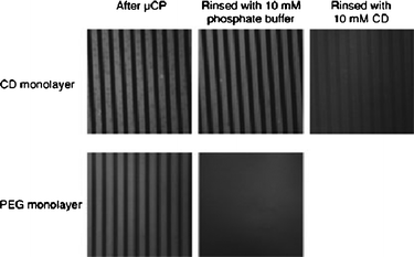 Fluorescence micrographs of printed “guests”(150 × 150 μm2), showing the stability difference between printing on “printboard” containing “host” molecules (β-cyclodextrin) by supramolecular lithography (top) and printing on poly(ethylene glycol) monolayer (bottom).52 (Reproduced with permission from ref. 52, copyright 2005 Wiley-VCH Verlag GmbH & Co. KGaA).