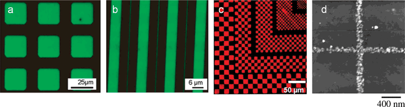 Fluorescence micrographs of printed biomolecules, DNA in (a) and (b);11 protein in (c)18 and (d).19 (a and b, reprinted with permission from ref. 11, copyright 2004 American Chemical Society; c, reproduced with permission from ref. 18, copyright 2000 Wiley-VCH Verlag GmbH & Co. KGaA; d, reprinted with permission from ref. 19, copyright 2003 American Chemical Society).