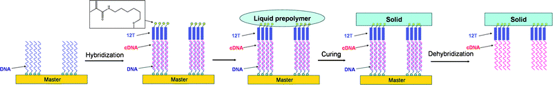 Schematic illustration of the LiSuNS procedure.43 (Reproduced with permission from ref. 43, copyright 2007 Wiley-VCH Verlag GmbH & Co. KGaA).