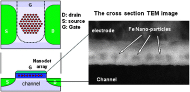 Applications of peptide and protein -based materials in
