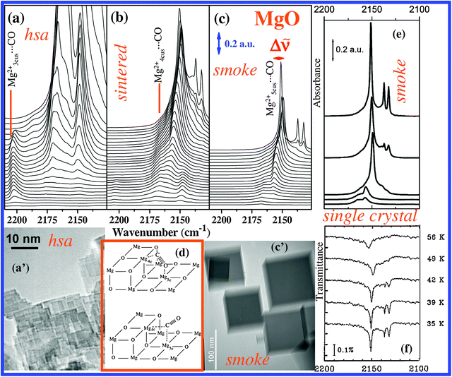 Probing the surfaces of heterogeneous catalysts by in situ IR